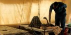Guerre au Soudan : la famine menace plusieurs zones au sud de Khartoum