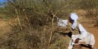 Au Soudan, une attaque contre un village de l’ouest du pays cause la mort de trente civils en deux jours